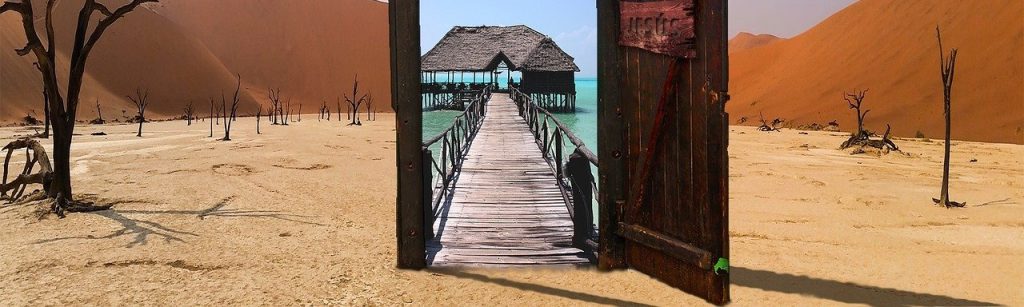 Image by santiagotorrescl95 from Pixabay