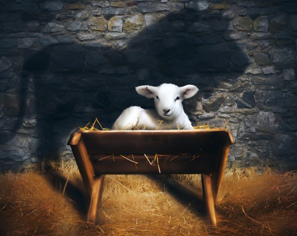 Познакомься с Иешуа 3 - Божественный Мессия в Иудаизме Image